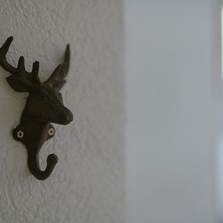 No 19 In The Black Forest 상트블라신 외부 사진