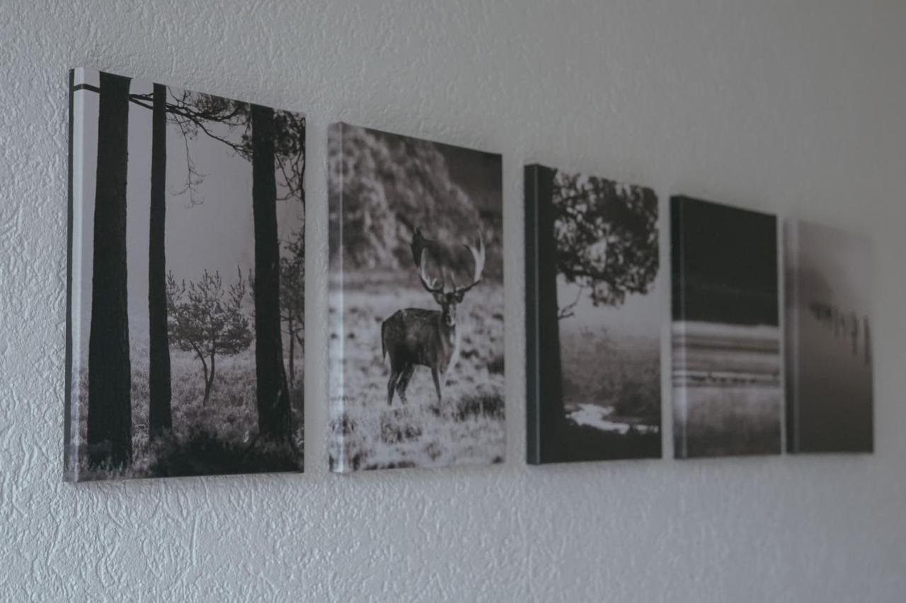 No 19 In The Black Forest 상트블라신 외부 사진